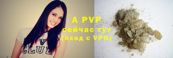 ГАЛЛЮЦИНОГЕННЫЕ ГРИБЫ Рославль
